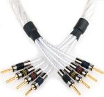 QED SIGNATURE C-GNSSBW/30 | Przewód głośnikowy GENESIS bi-wire | Dealer Szczecin - c-gnssbw30.jpg